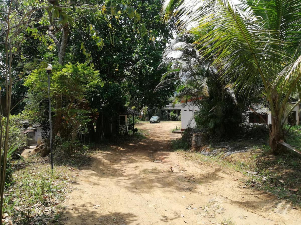 Leaf Guest House Gampola Exterior photo