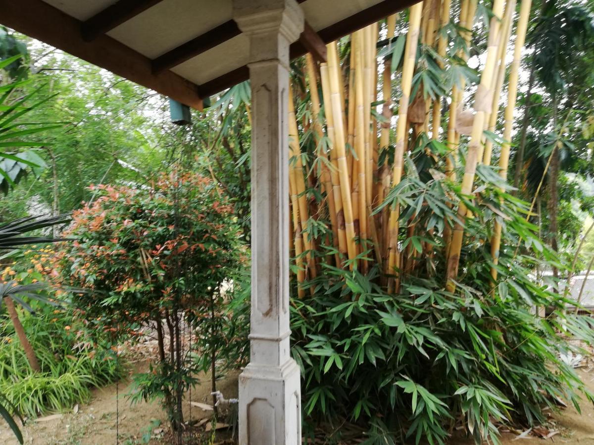 Leaf Guest House Gampola Exterior photo