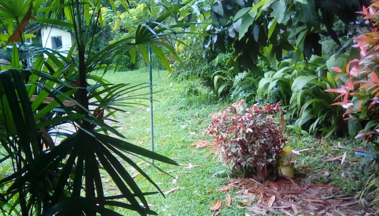 Leaf Guest House Gampola Exterior photo