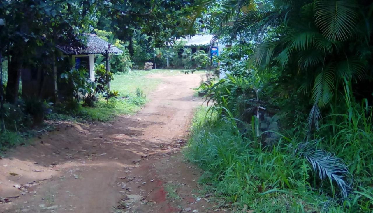 Leaf Guest House Gampola Exterior photo